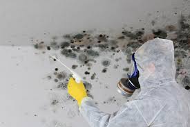 Best Industrial Mold Remediation  in Colfax, CA